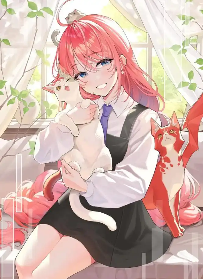 轻小说《猫与龙》宣布改编为TV动画并公开贺图-漫画客